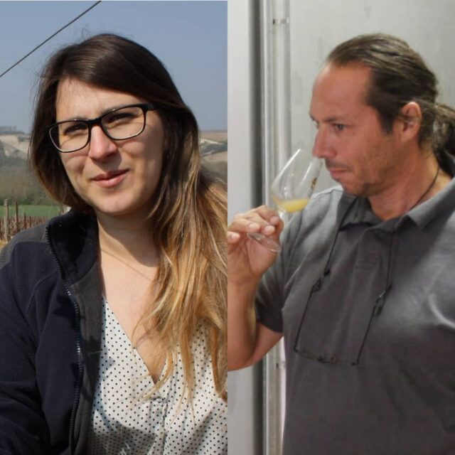 Domaine Jean Goulley et fils - famiglia web