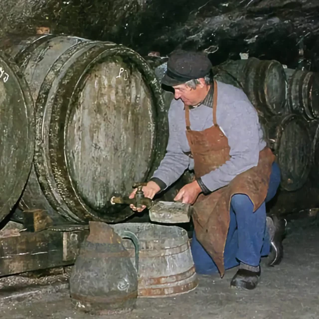 Domaine Marchand et Fils - produttore ratio-1-1